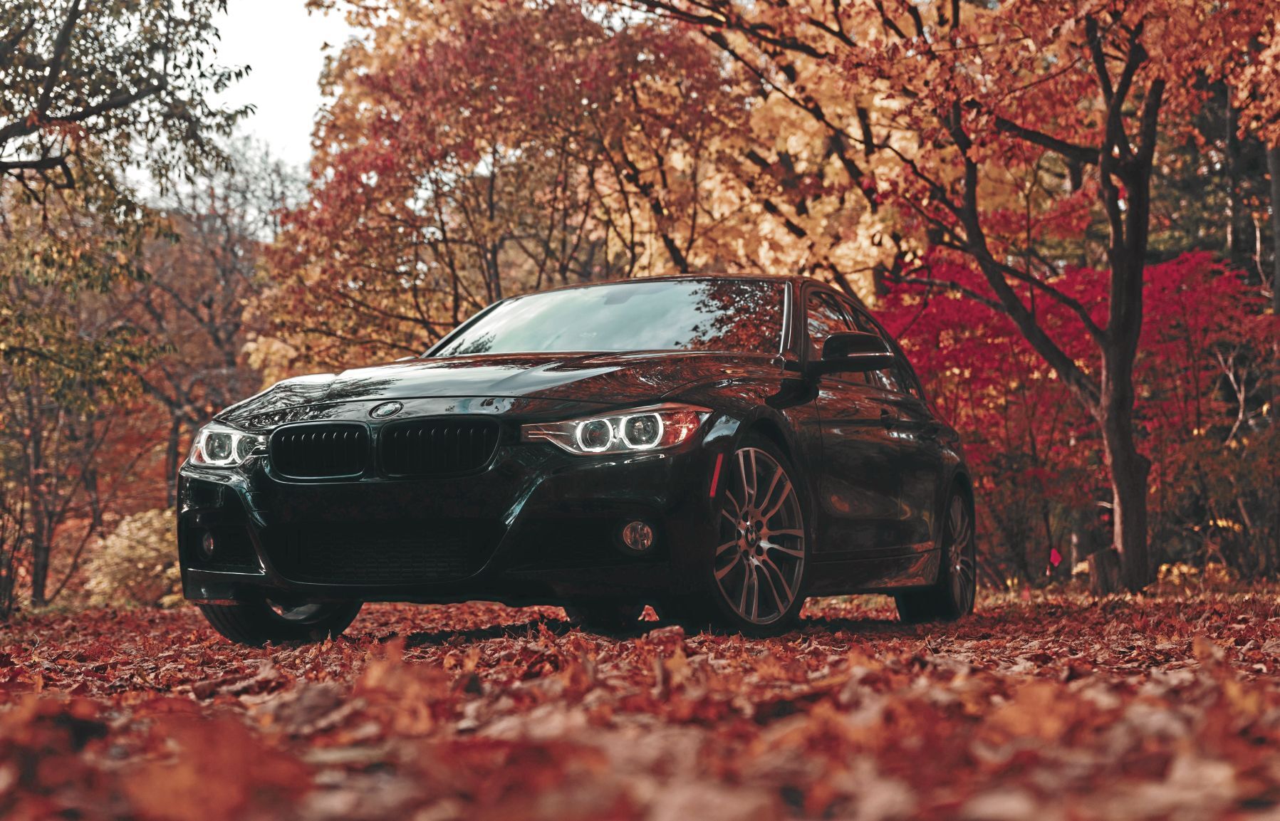_yuvraj-singh-RjjEmr24h-M-unsplash_CMYK.jpg
